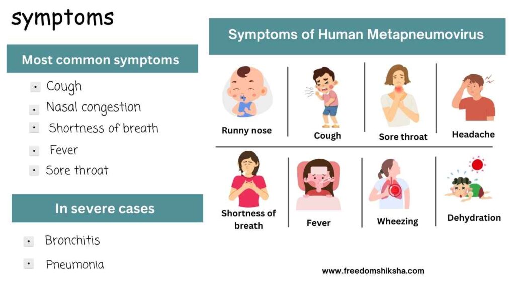 symptoms of human metapneumovirus